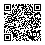 QR: governix — Google Play